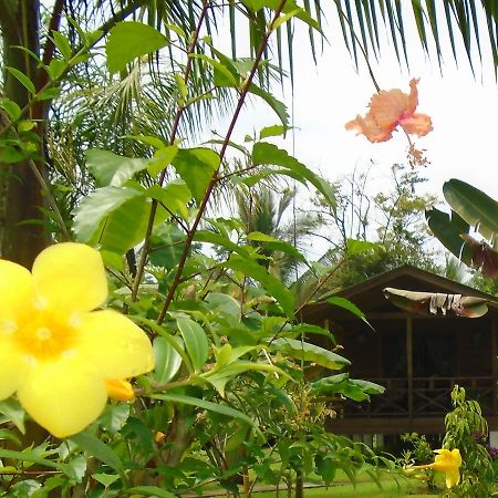 J And H Garden Cabinas ボカス・タウン エクステリア 写真